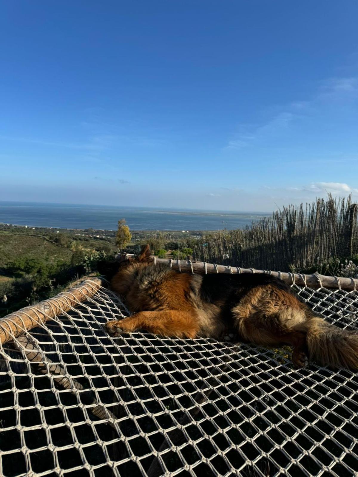 Ghar El Melh Outdoors Hotel Ra's al Jabal Eksteriør billede