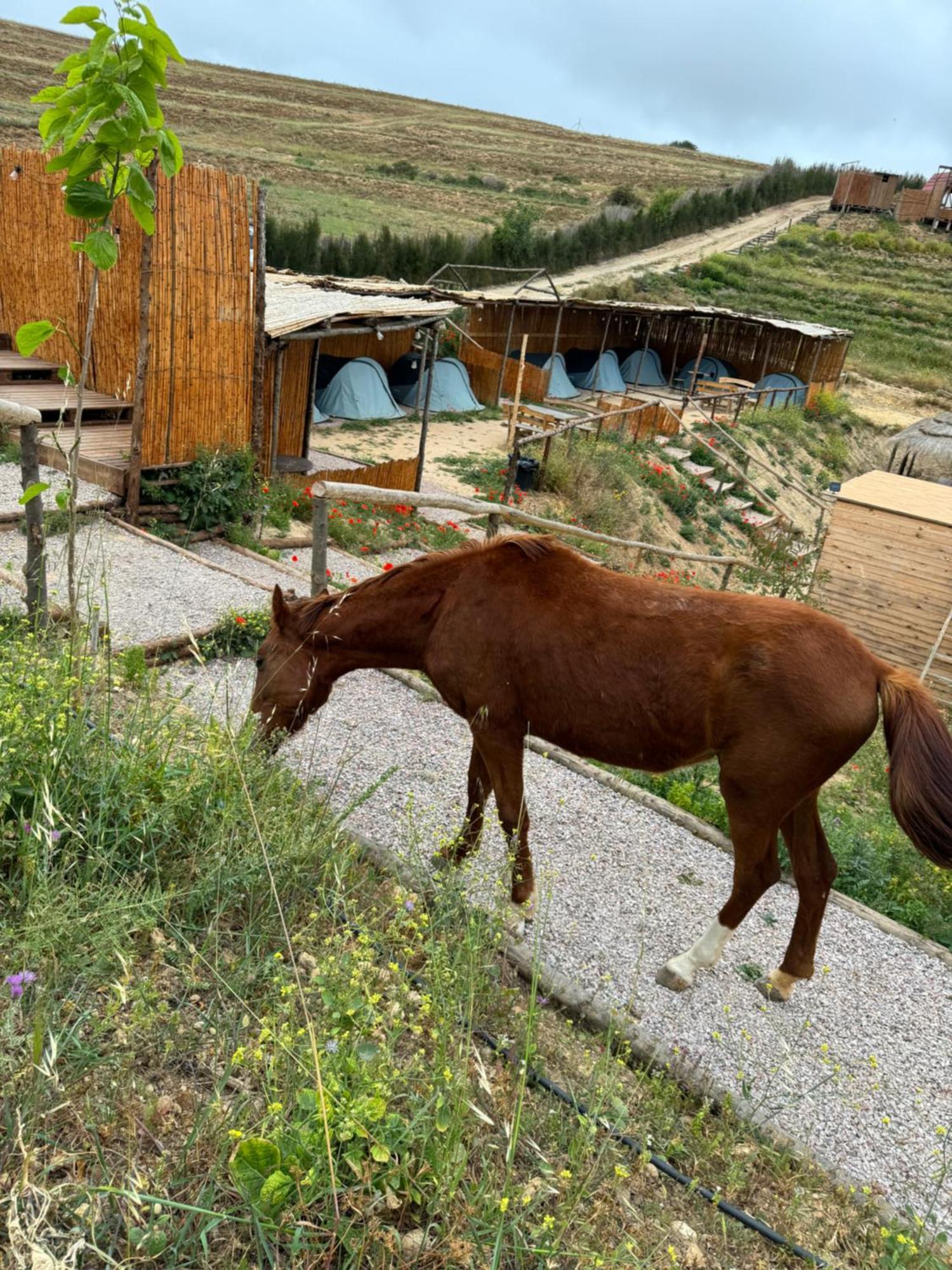 Ghar El Melh Outdoors Hotel Ra's al Jabal Eksteriør billede
