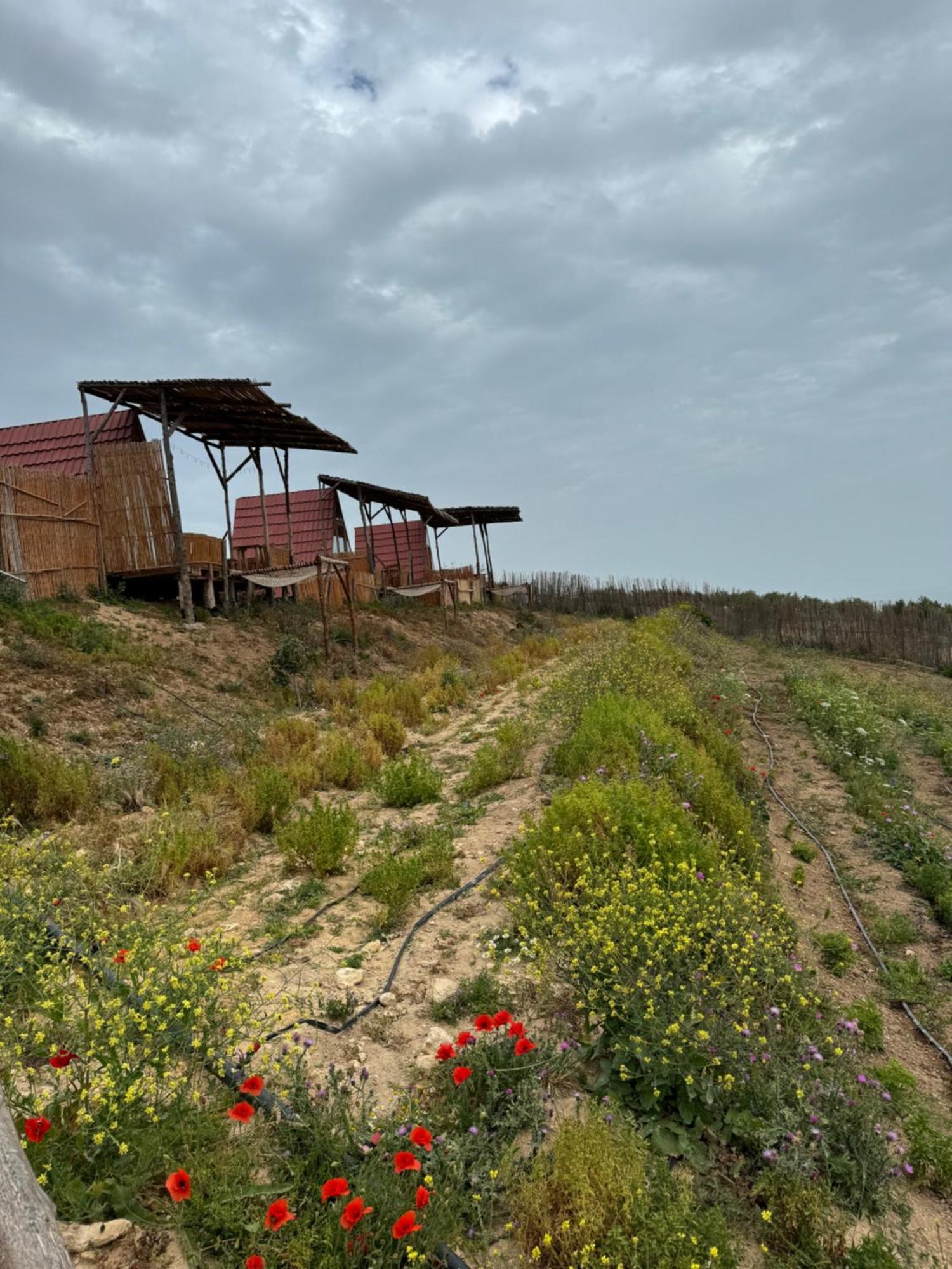 Ghar El Melh Outdoors Hotel Ra's al Jabal Eksteriør billede